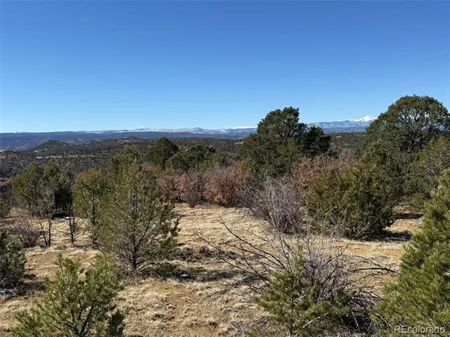 12222 Elk Run Road Trinidad, CO 81082