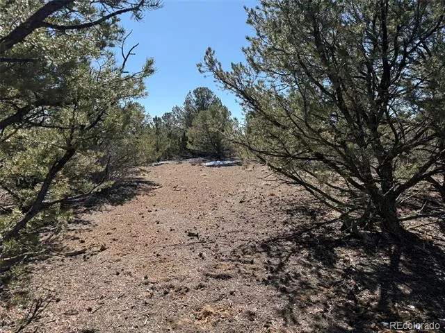 12222 Elk Run Road Trinidad, CO 81082