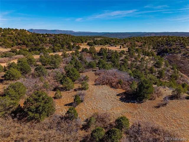 12222 Elk Run Road Trinidad, CO 81082