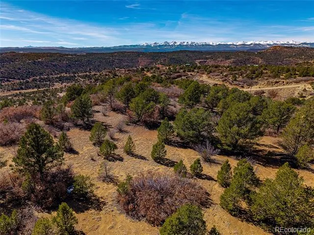 12222 Elk Run Road Trinidad, CO 81082