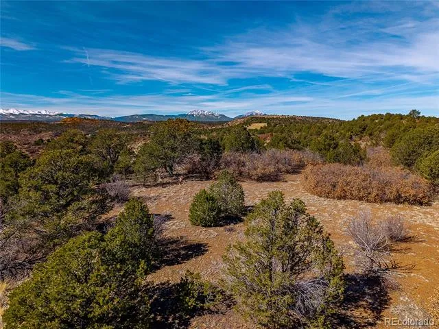 12222 Elk Run Road Trinidad, CO 81082