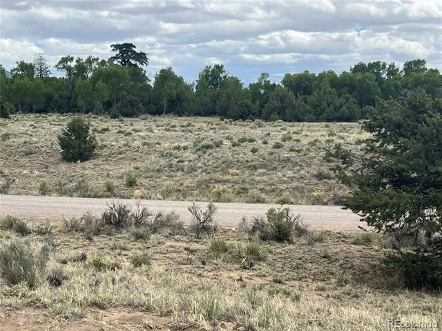 1592 Spanish Creek Road Crestone, CO 81131