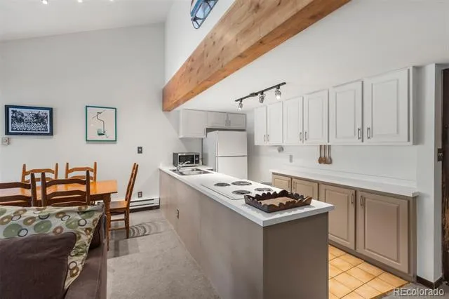393 Wild Irishman Road #1066 Keystone, CO 80435