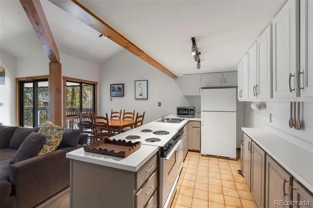 393 Wild Irishman Road #1066 Keystone, CO 80435
