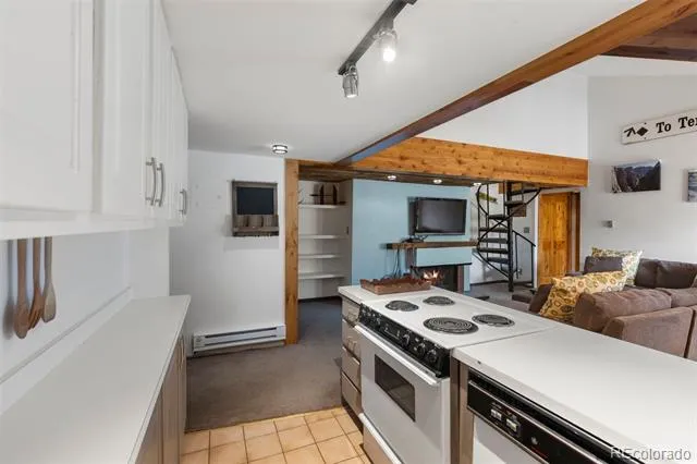 393 Wild Irishman Road #1066 Keystone, CO 80435