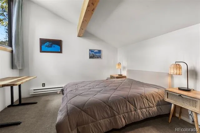 393 Wild Irishman Road #1066 Keystone, CO 80435