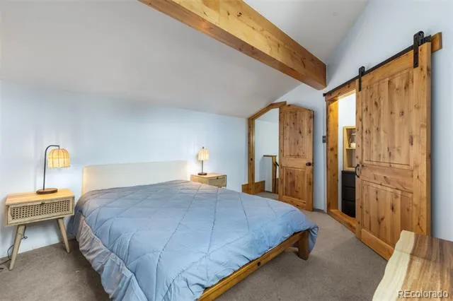 393 Wild Irishman Road #1066 Keystone, CO 80435