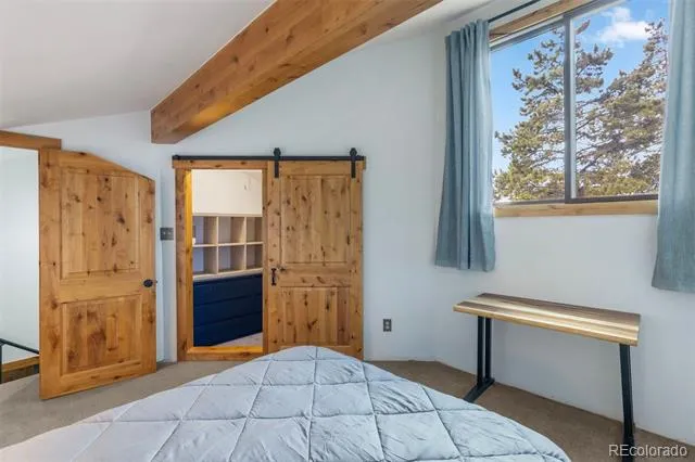 393 Wild Irishman Road #1066 Keystone, CO 80435
