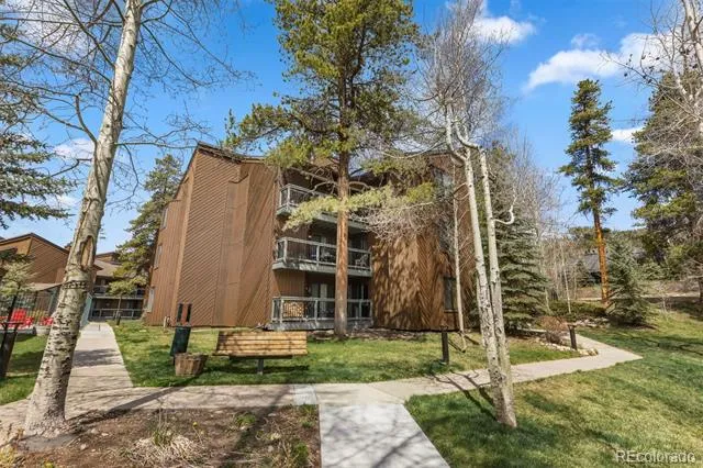 393 Wild Irishman Road #1066 Keystone, CO 80435