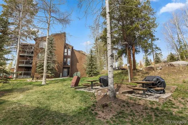 393 Wild Irishman Road #1066 Keystone, CO 80435