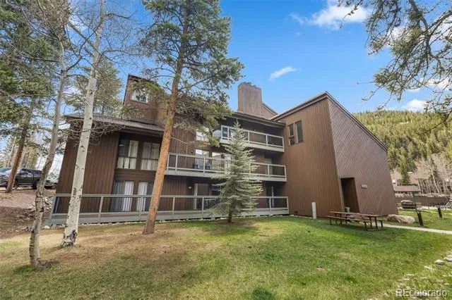 393 Wild Irishman Road #1066 Keystone, CO 80435