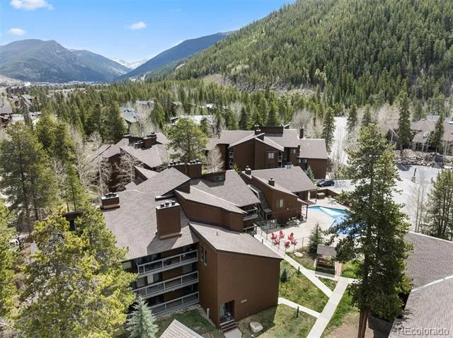 393 Wild Irishman Road #1066 Keystone, CO 80435