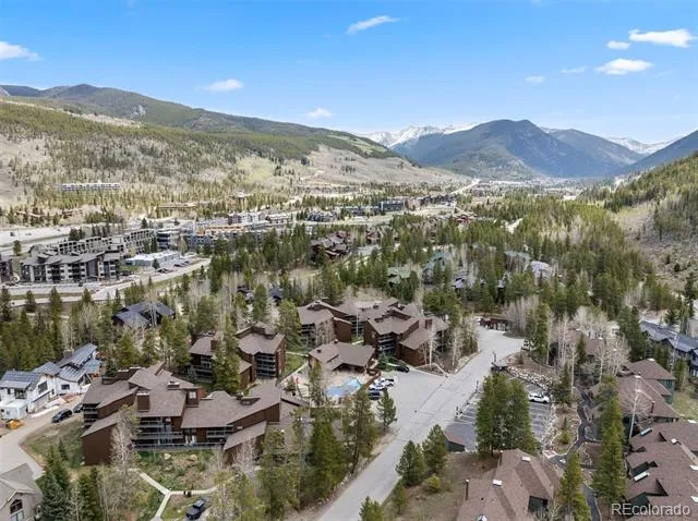 393 Wild Irishman Road #1066 Keystone, CO 80435