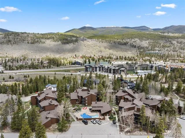393 Wild Irishman Road #1066 Keystone, CO 80435