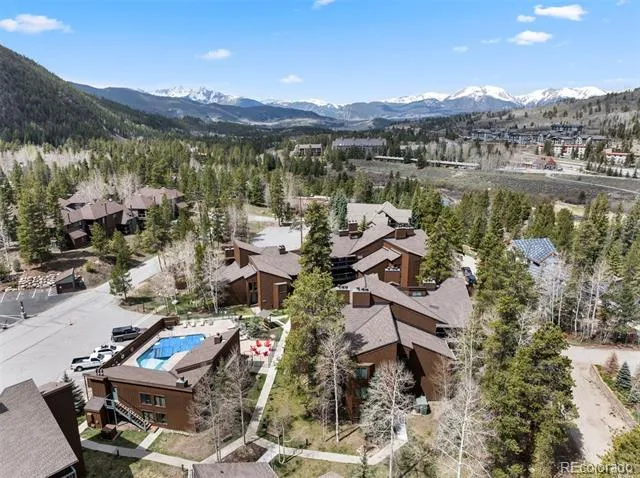 393 Wild Irishman Road #1066 Keystone, CO 80435