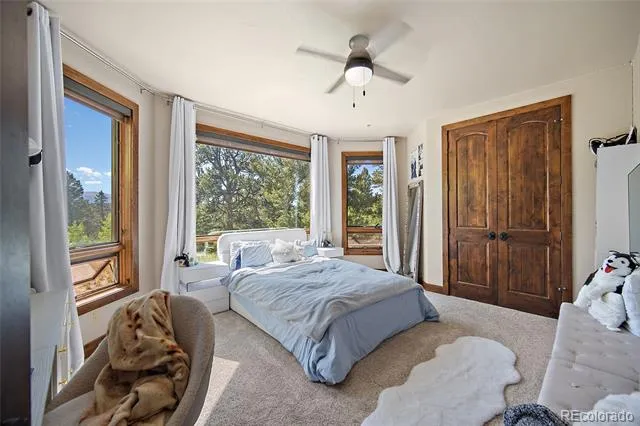 4267 County Road 51 Divide, CO 80814