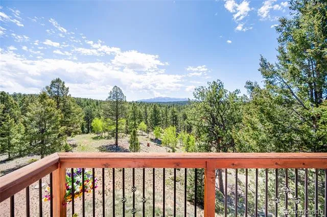 4267 County Road 51 Divide, CO 80814
