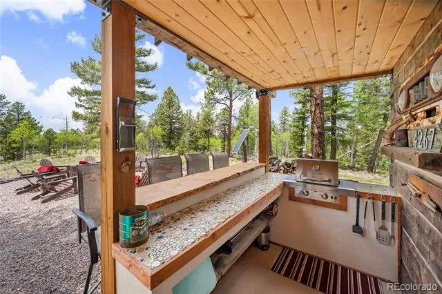 4267 County Road 51 Divide, CO 80814