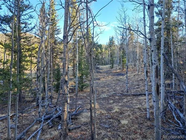 1645 Chippewa Road Como, CO 80432