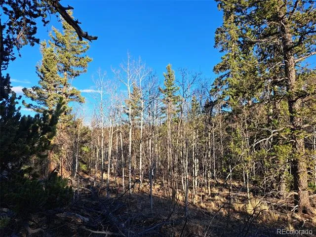 1645 Chippewa Road Como, CO 80432