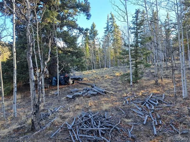 1645 Chippewa Road Como, CO 80432