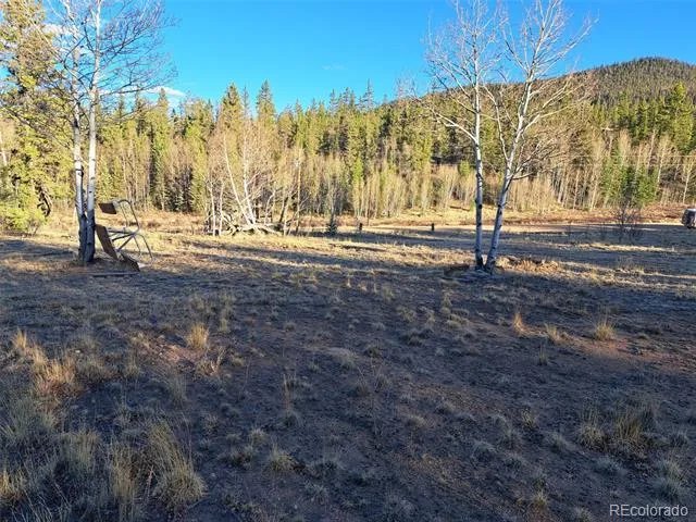 1645 Chippewa Road Como, CO 80432