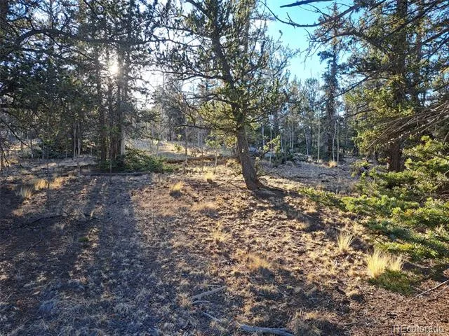 1645 Chippewa Road Como, CO 80432