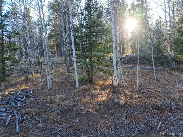 1645 Chippewa Road Como, CO 80432