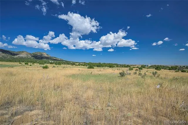 15308 CR 71.1 Trinidad, CO 81082