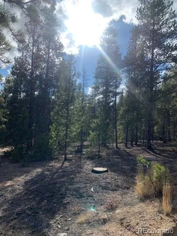 180 Peak View Drive Leadville, CO 81251