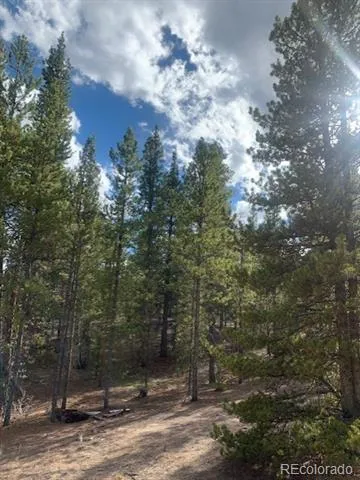 180 Peak View Drive Leadville, CO 81251