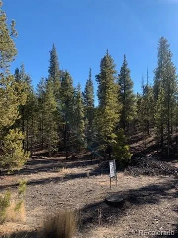 180 Peak View Drive Leadville, CO 81251