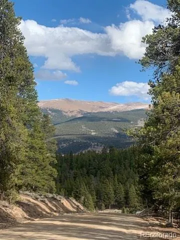 180 Peak View Drive Leadville, CO 81251