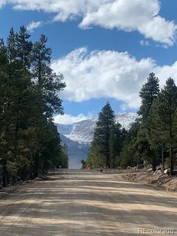 180 Peak View Drive Leadville, CO 81251