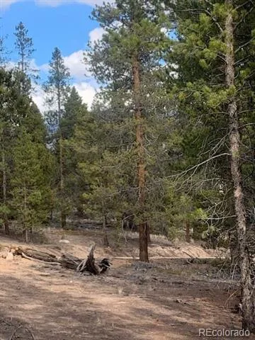 180 Peak View Drive Leadville, CO 81251