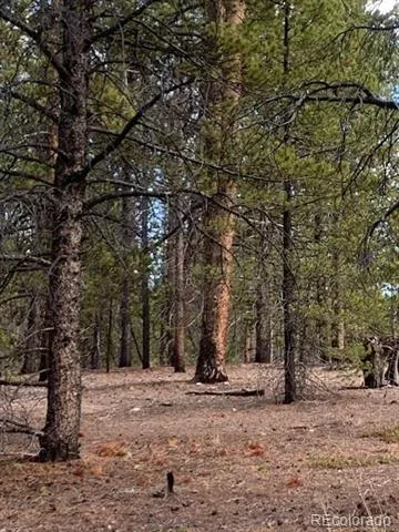 180 Peak View Drive Leadville, CO 81251