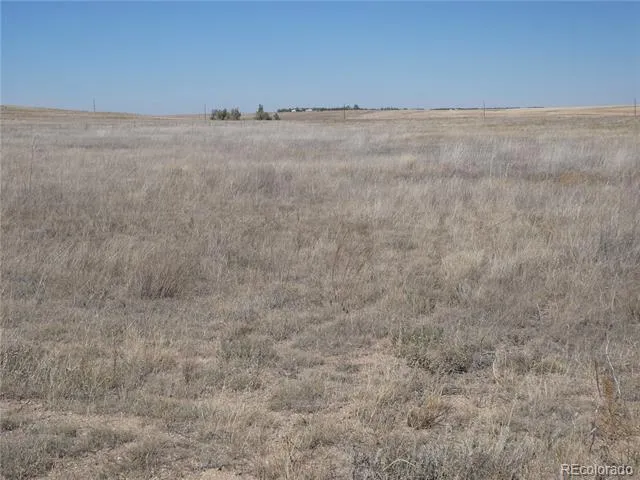 11701 County Road 137 Simla, CO 80835