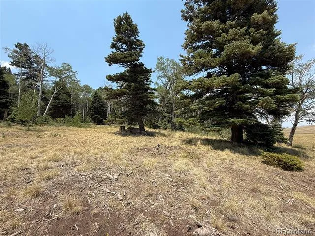 2357 Benton Place Fort Garland, CO 81133