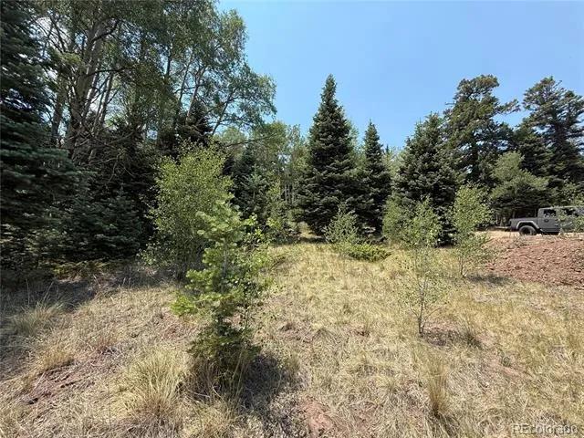 2357 Benton Place Fort Garland, CO 81133