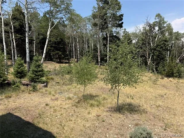 2357 Benton Place Fort Garland, CO 81133