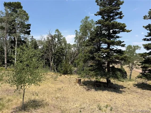 2357 Benton Place Fort Garland, CO 81133