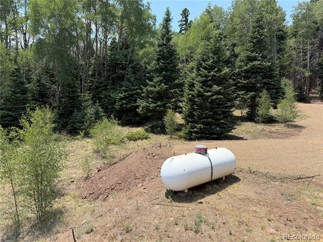 2357 Benton Place Fort Garland, CO 81133