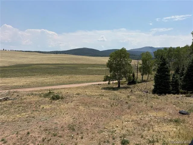 2357 Benton Place Fort Garland, CO 81133