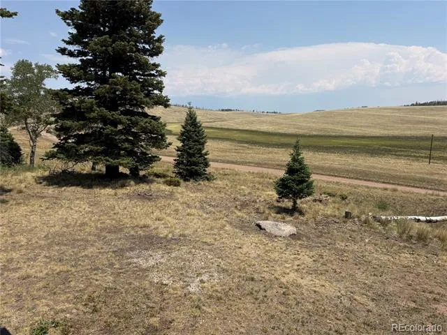 2357 Benton Place Fort Garland, CO 81133