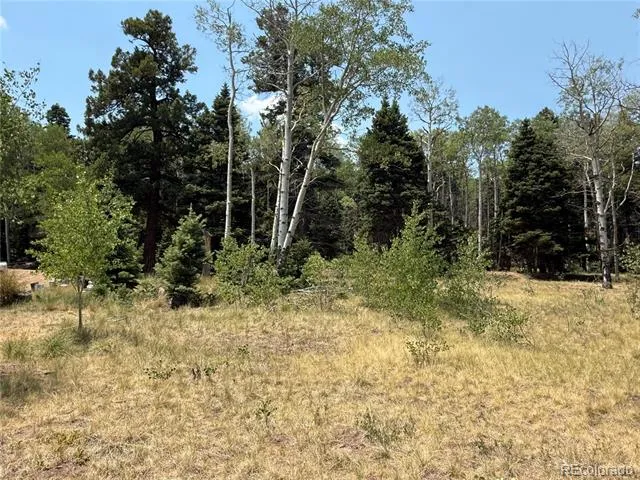 2357 Benton Place Fort Garland, CO 81133