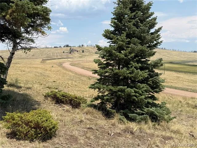2357 Benton Place Fort Garland, CO 81133
