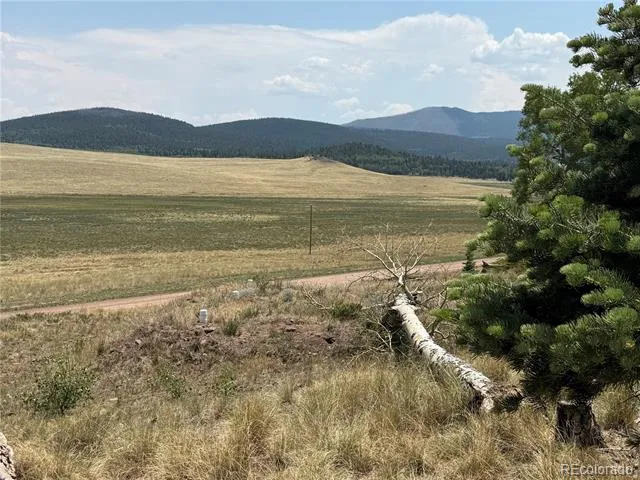 2357 Benton Place Fort Garland, CO 81133