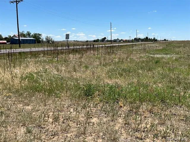 Manila Watkins, CO 80137