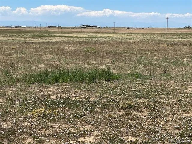 Manila Watkins, CO 80137