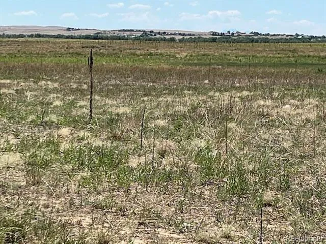 Manila Watkins, CO 80137